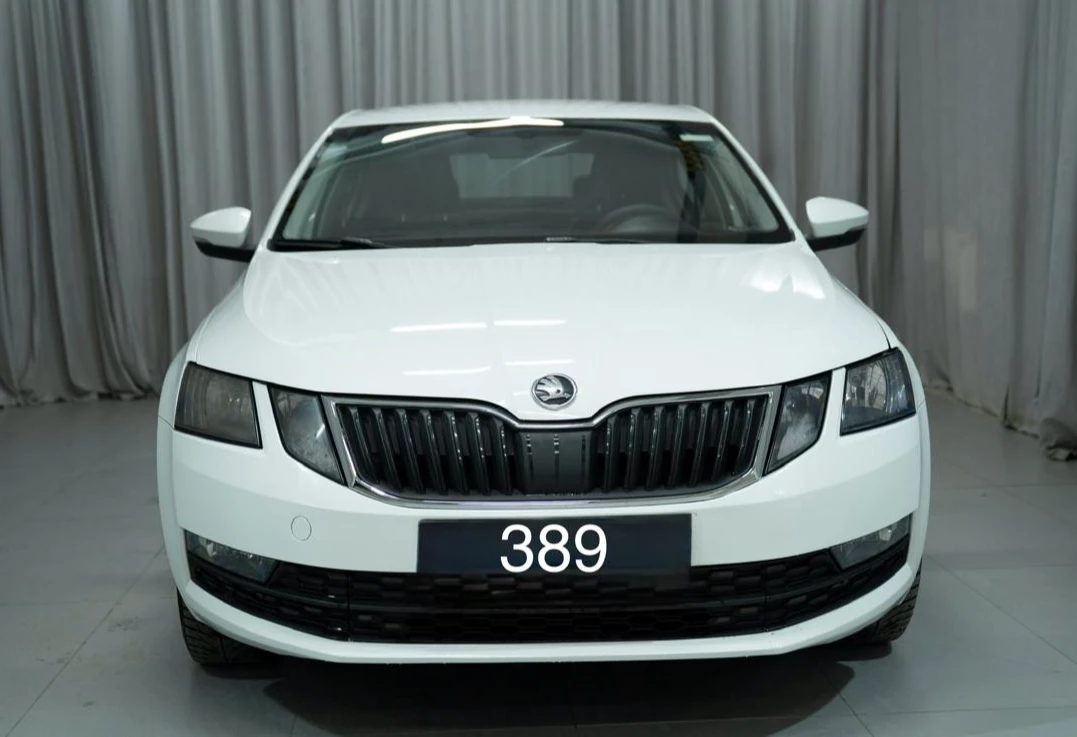Аренда skoda octavia эконом класса 2019 года в городе Москва Яхромская от 1900 руб./сутки, передний привод, двигатель: газ, объем 1.6 литров, ОСАГО (Мультидрайв), без водителя, недорого - RentRide