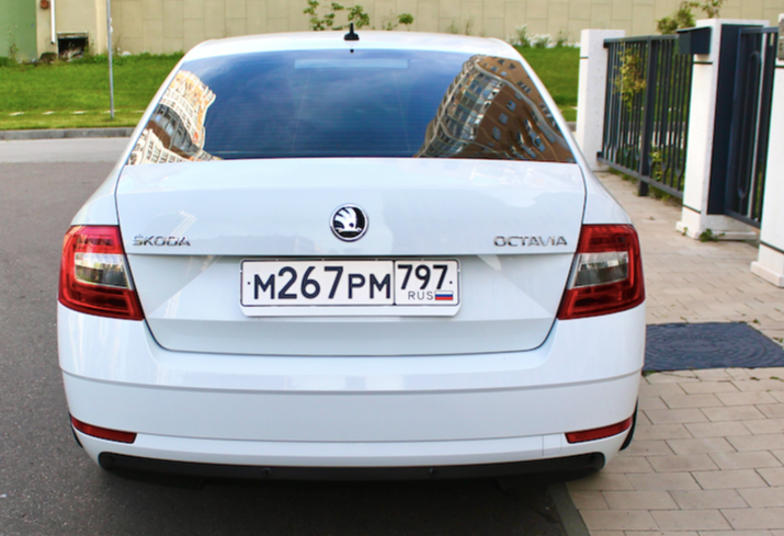 Аренда skoda octavia стандарт класса 2019 года в городе Москва Матвеевское от 3200 руб./сутки, передний привод, двигатель: бензин, объем 1.6 литров, каско (Мультидрайв), ОСАГО (Мультидрайв), без водителя, недорого, вид 8 - RentRide