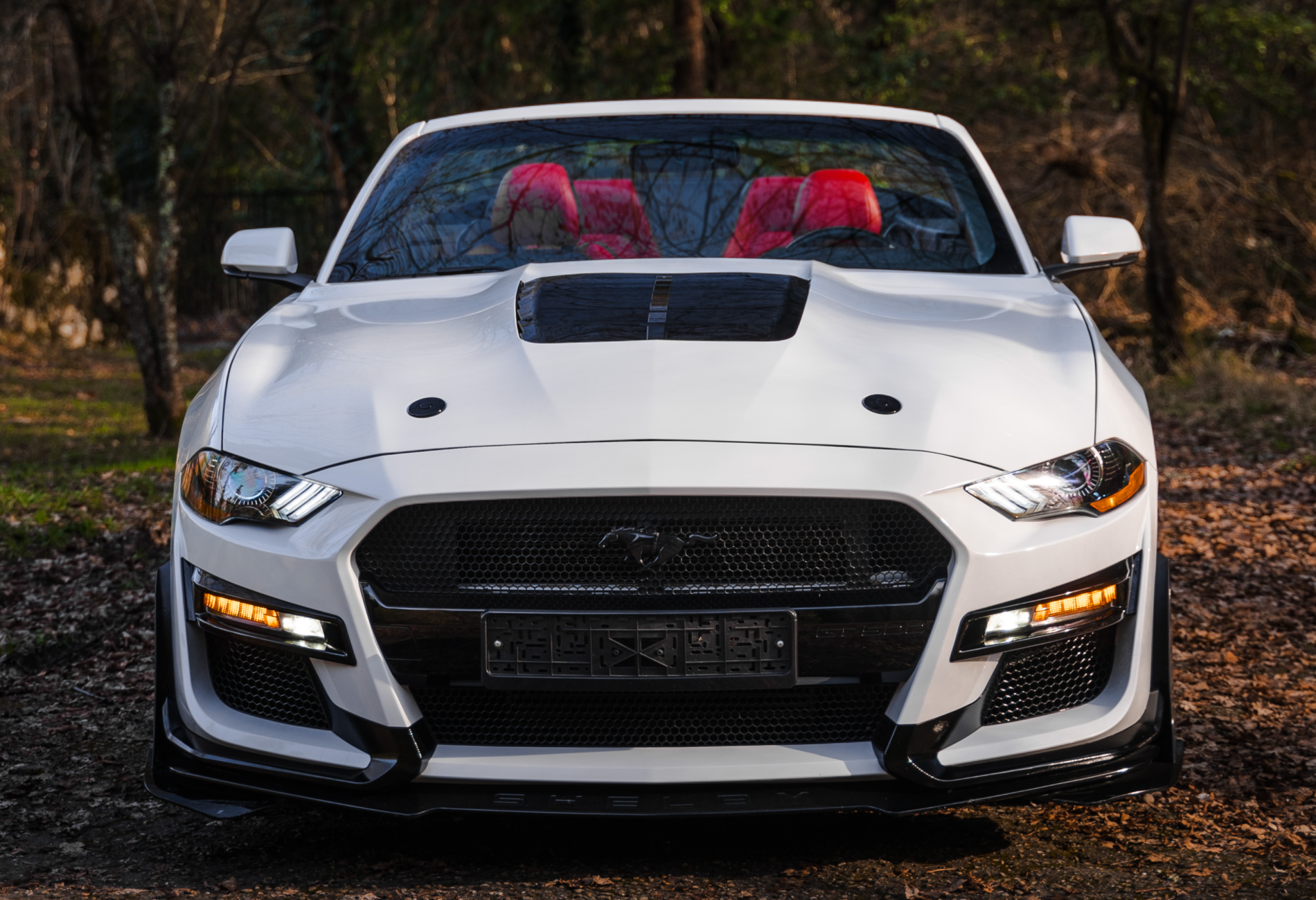 Аренда ford mustang премиум класса 2020 года в городе Москва от 16800 руб./сутки, задний привод, двигатель: бензин, объем 2.3 литра, ОСАГО (Впишу в полис), без водителя, недорого, вид 2 - RentRide