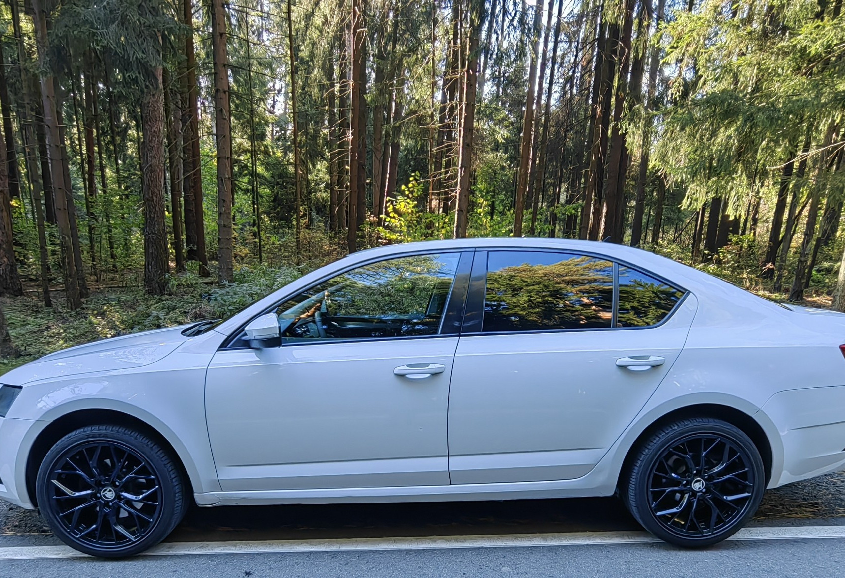 Аренда skoda octavia 2018 года в городе Москва Ольховая от 1640 руб./сутки, передний привод, двигатель: бензин, объем 1.6 литров, ОСАГО (Впишу в полис), без водителя, недорого, вид 5 - RentRide