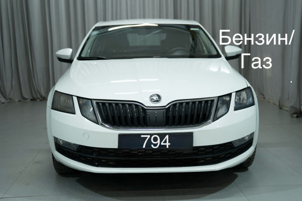 Прокат авто skoda octavia эконом класса 2020 года в городе Москва Яхромская от 2080 руб./сутки, передний привод, двигатель: бензин, объем 1.6 литров, ОСАГО (Мультидрайв), без водителя, недорого - RentRide