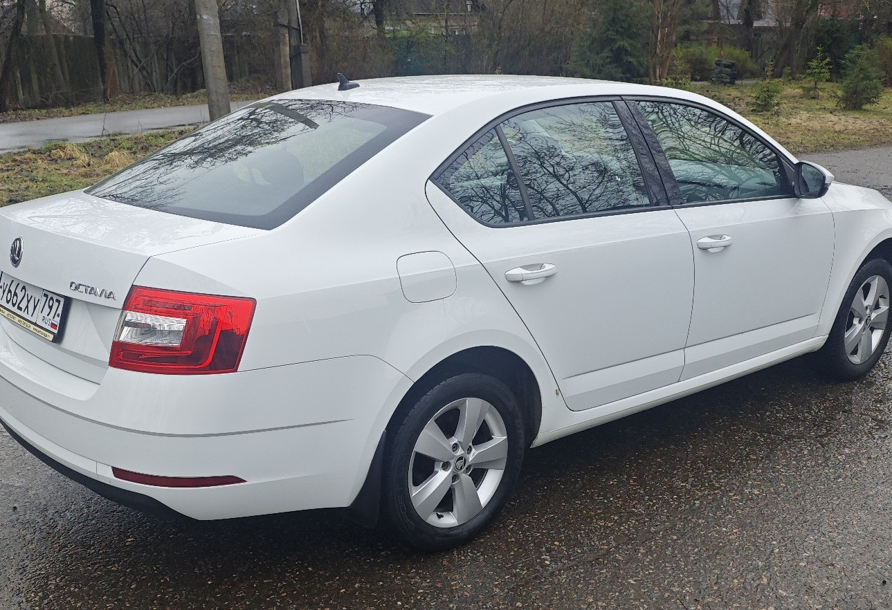 Аренда skoda octavia 2019 года в городе Москва от 2550 руб./сутки, передний привод, двигатель: бензин, объем 1.6 литров, ОСАГО (Мультидрайв), без водителя, недорого, вид 3 - RentRide