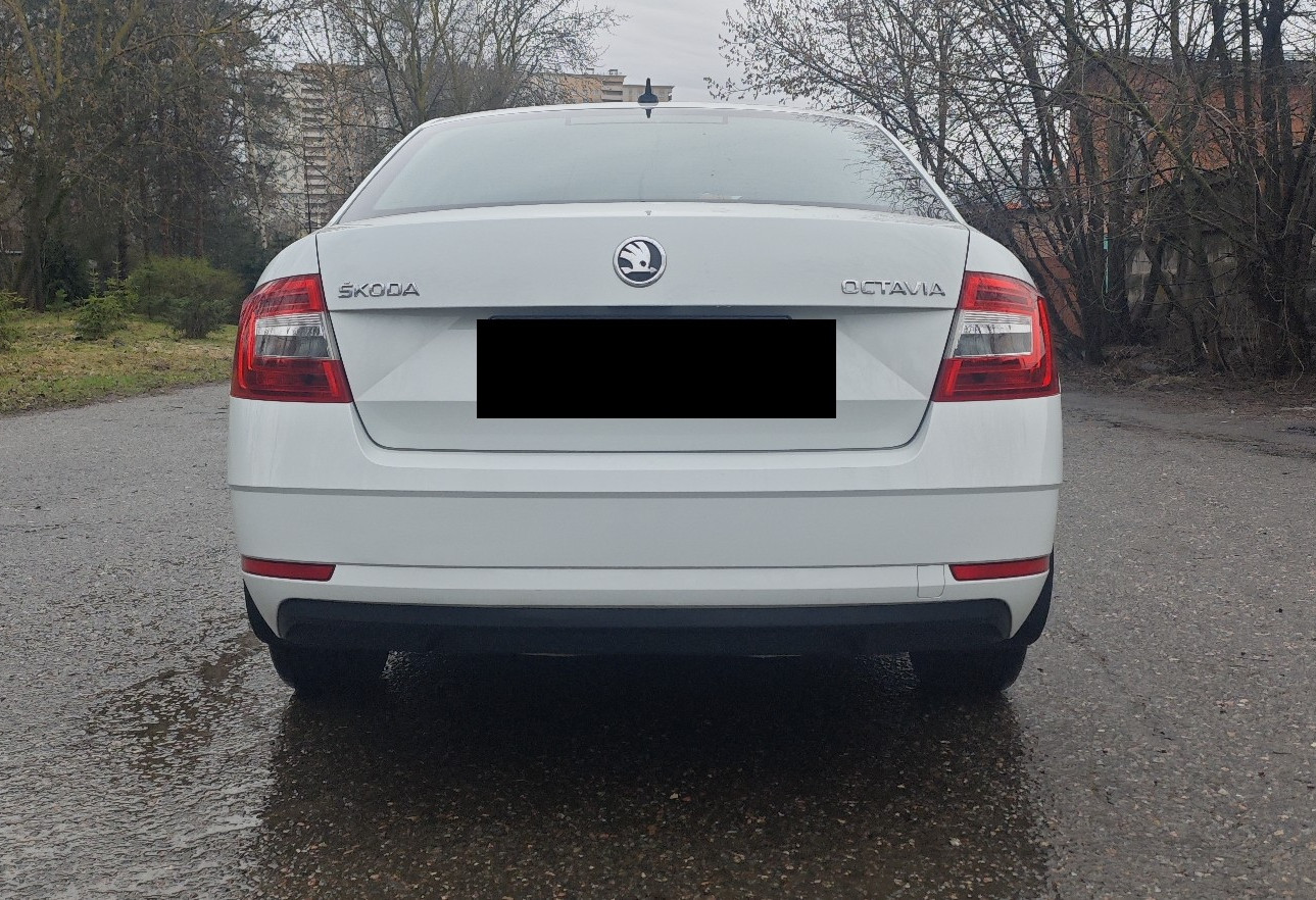 Аренда skoda octavia эконом класса 2019 года в городе Москва от 2550 руб./сутки, передний привод, двигатель: бензин, объем 1.6 литров, ОСАГО (Мультидрайв), без водителя, недорого, вид 4 - RentRide
