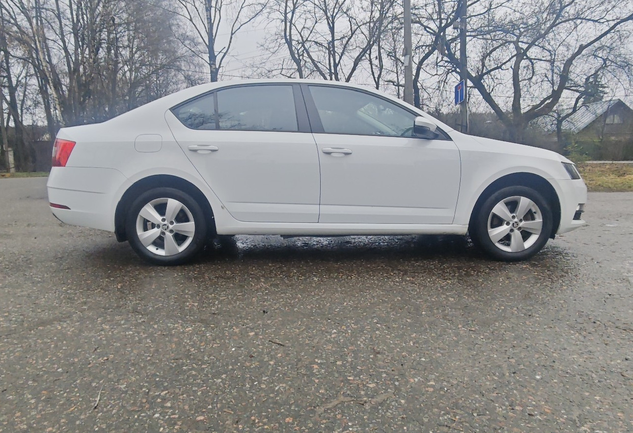 Аренда skoda octavia эконом класса 2019 года в городе Москва от 2550 руб./сутки, передний привод, двигатель: бензин, объем 1.6 литров, ОСАГО (Мультидрайв), без водителя, недорого, вид 7 - RentRide