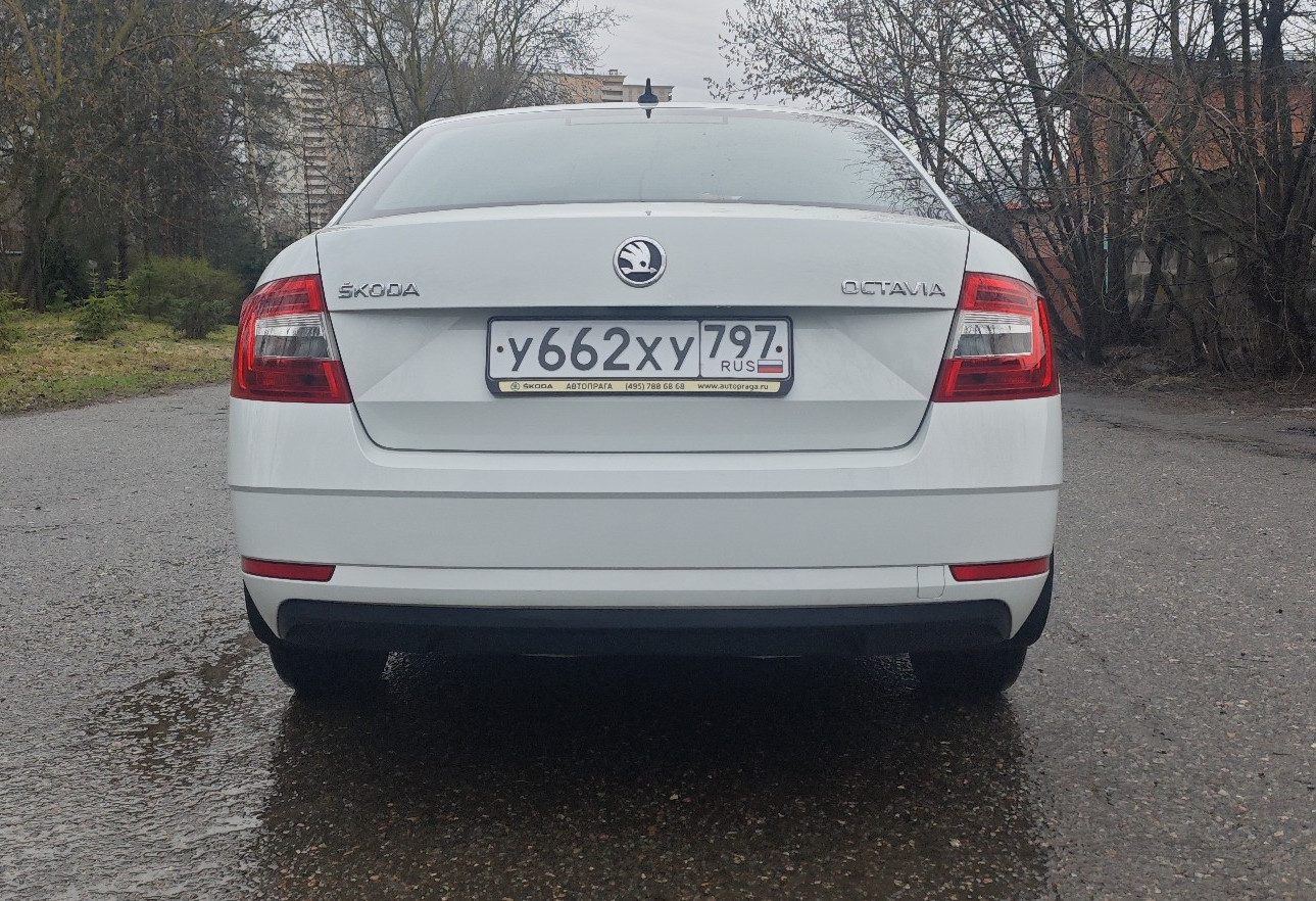 Аренда skoda octavia 2019 года в городе Москва от 2550 руб./сутки, передний привод, двигатель: бензин, объем 1.6 литров, ОСАГО (Мультидрайв), без водителя, недорого, вид 5 - RentRide
