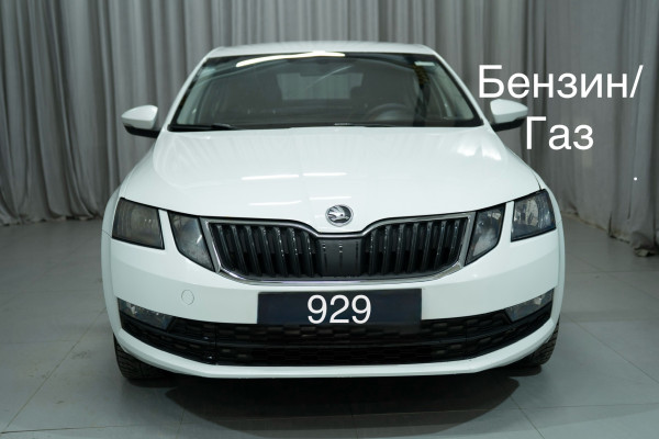 Прокат авто skoda octavia эконом класса 2020 года в городе Москва Яхромская от 2080 руб./сутки, передний привод, двигатель: бензин, объем 1.6 литров, ОСАГО (Мультидрайв), без водителя, недорого - RentRide