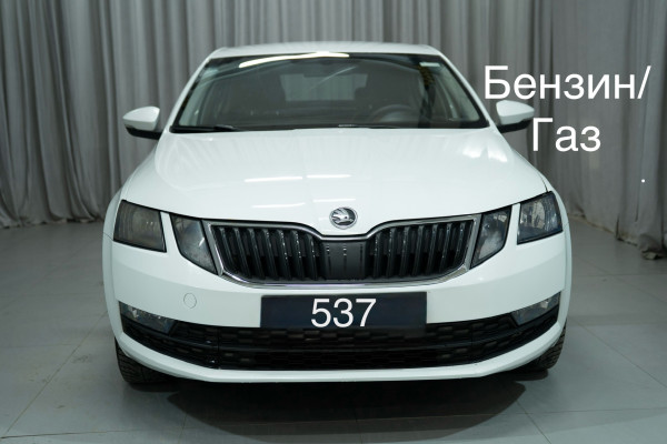 Прокат авто skoda octavia эконом класса 2020 года в городе Москва Яхромская от 2080 руб./сутки, передний привод, двигатель: бензин, объем 1.6 литров, ОСАГО (Мультидрайв), без водителя, недорого - RentRide