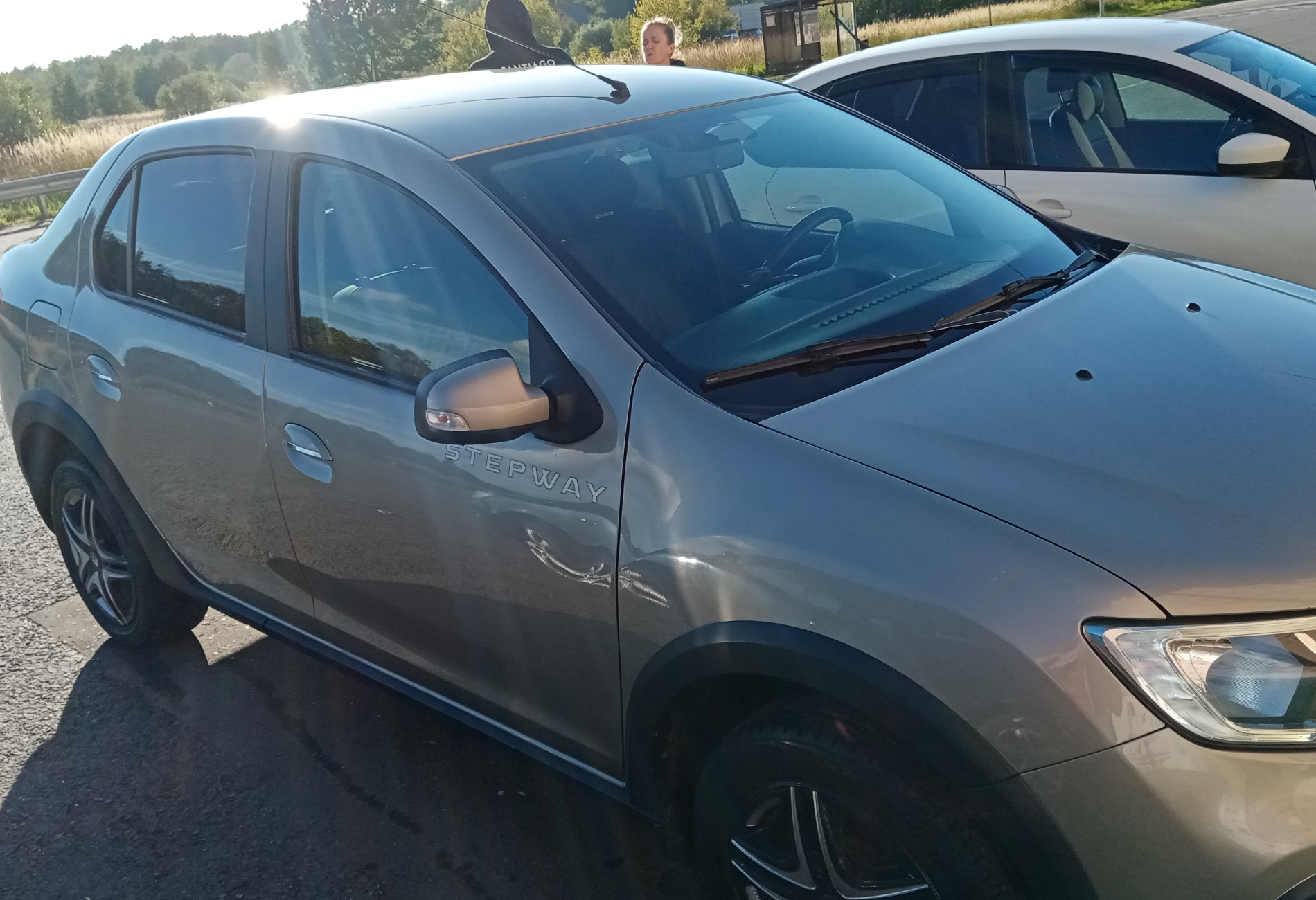 Аренда renault logan-stepway эконом класса 2020 года в городе Москва от 1800 руб./сутки, задний привод, двигатель: бензин, объем 1.6 литров, ОСАГО (Мультидрайв), без водителя, недорого - RentRide