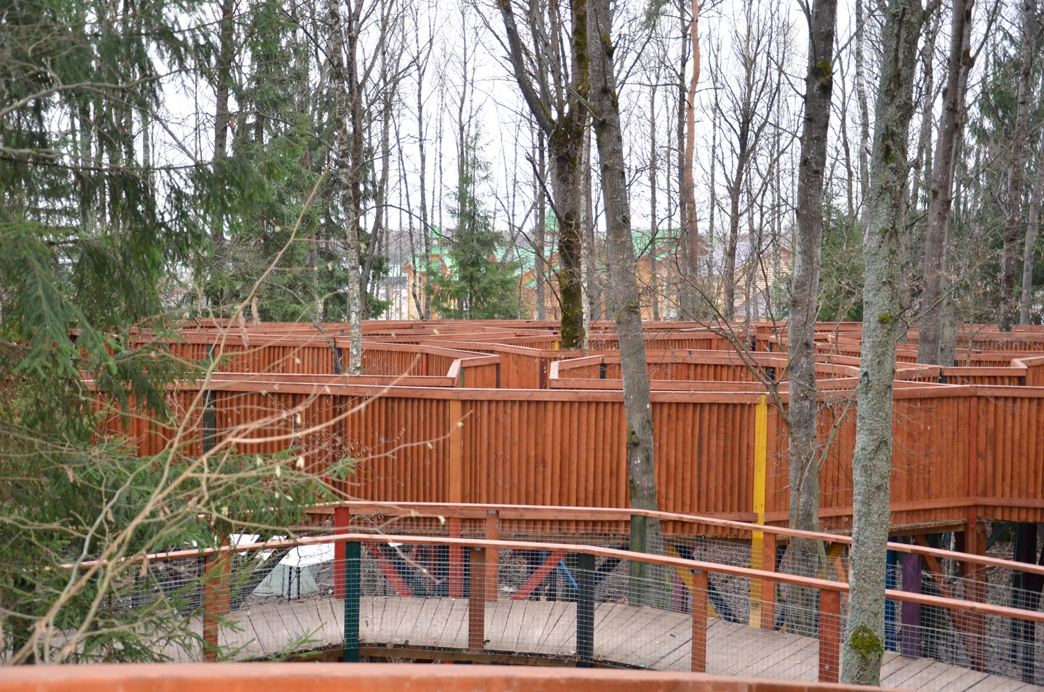 Лесной лабиринт «Дебри» в Петрово для туристов