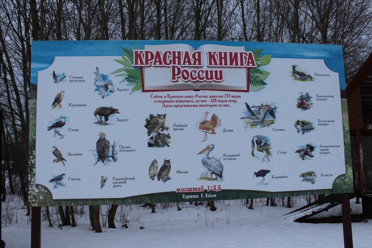 Парк птиц «Воробьи» зимой